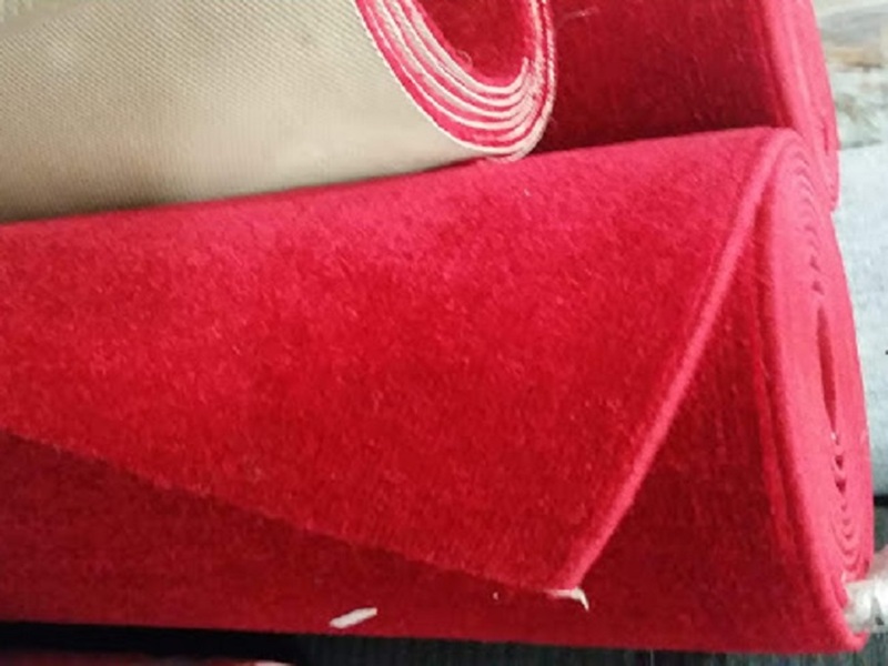 Kırmızı Protokol Halısı